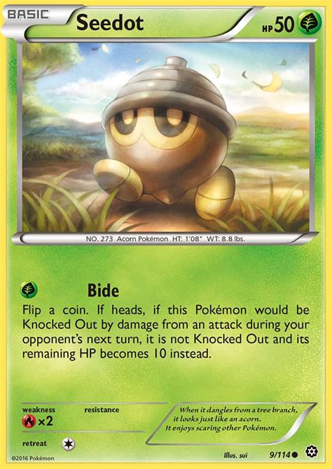 seedot  steam siege  pokemon card