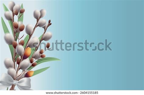 651 Pussy Willow Branch Bouquete Stock Vectors And Vector Art