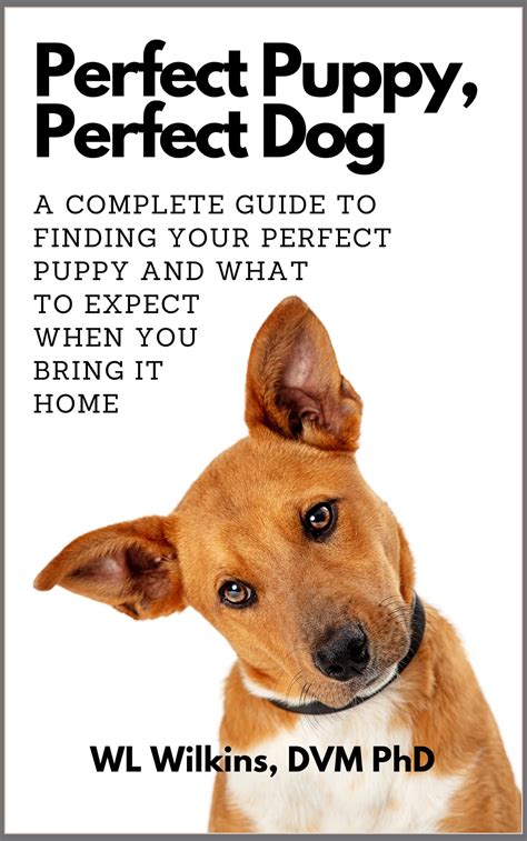 Perfect Puppy Take Britain S Number One Puppy Car 4