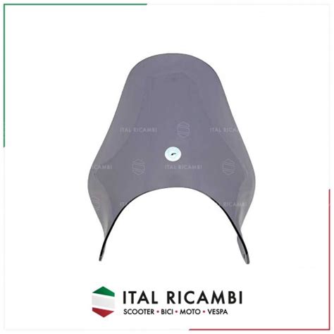 CUPOLINO MOTO NAKED FUME UNIVERSALE ATTACCO FARO Ø 260 MM CUPPINI