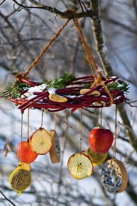 Best Homemade Diy Bird Feeders For All Kinds Of Yards And Gardens