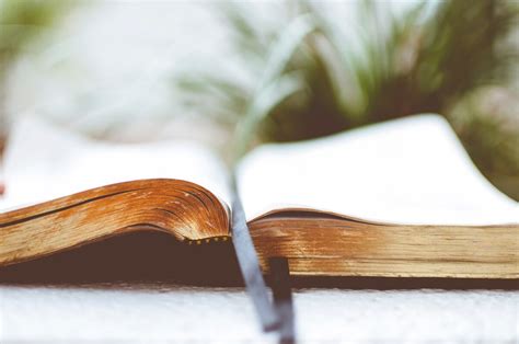 What Is The Good News Of The Gospel