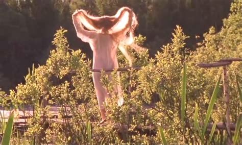 Svetlana Khodchenkova Nude Pics Page