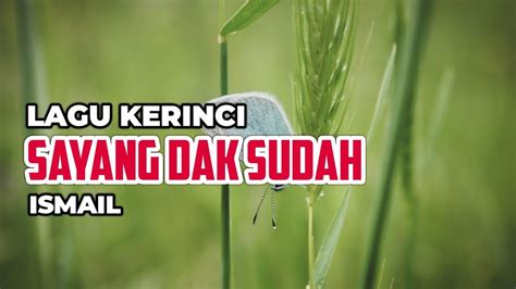 Lagu Kerinci Sayang Dak Sudah Voc Ismail Youtube