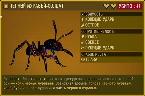 Steam Community :: Guide :: Все карты существ