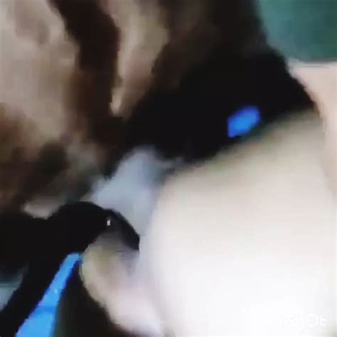 Old Breeder Gay Amateur Amateur Porn XHamster