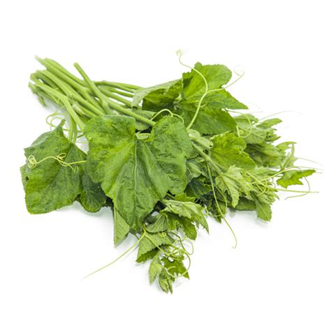 Frozen Cassava Leaves Pondu Food Supplier