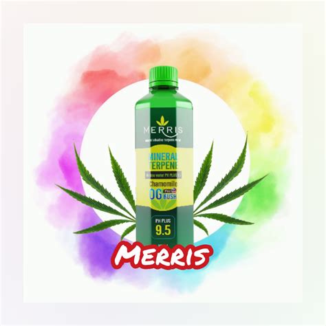 เมอริส ธุรกิจออนไลน์ เริ่มต้นได้ด้วยทุน 0 บาท