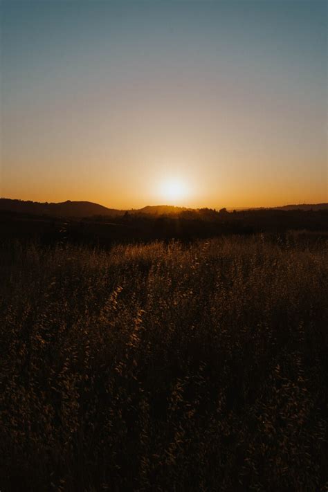 golden sunset  grassy hills peaceful nature wallpaper background