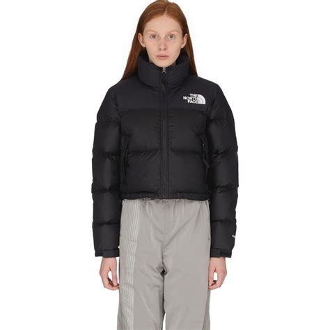 The North Face Phlego Synth Cropped Puffer Jacket In Black