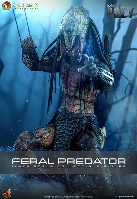 Hot Toys TMS114 Prey 1 6th Scale Feral Predator Collectible Figure Ship Q4 2024 Q1 2025