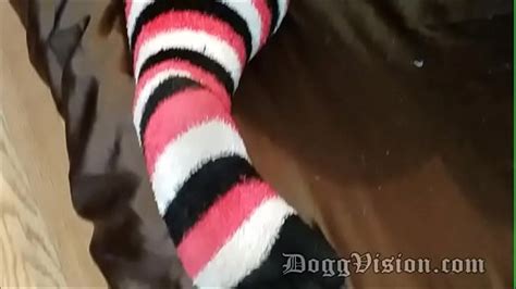 Hairy Wife Bbc Search XVIDEOS