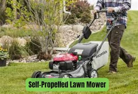 5 Snapper Self Propelled Lawn Mower Problems And Simple Solutions Lawnask