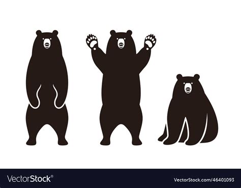 Bear Royalty Free Vector Image - VectorStock