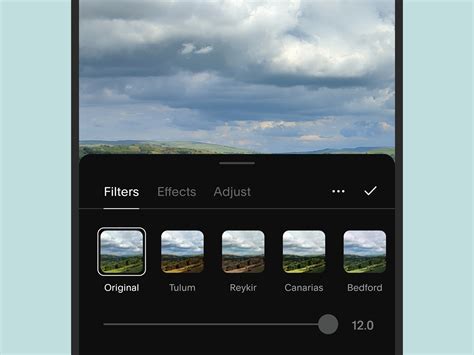 How to make a collage on an Instagram story | Popular Science