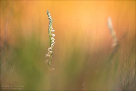~ you and me ~ (Forum für Naturfotografen)