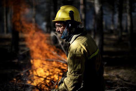 Nuevo Frenazo A La Ley De Los Bomberos Forestales Que Lleva Casi Una Década Estancada Y Quedó