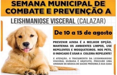 Semana Municipal de Combate e prevenção da leishmaniose alerta