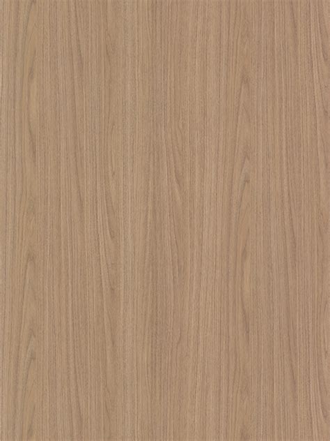 Belbien W Naked American Walnut SC