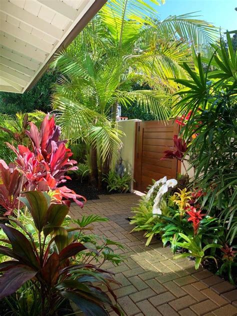 Tropical Backyard Landscaping California Landscaping Tropical Garden