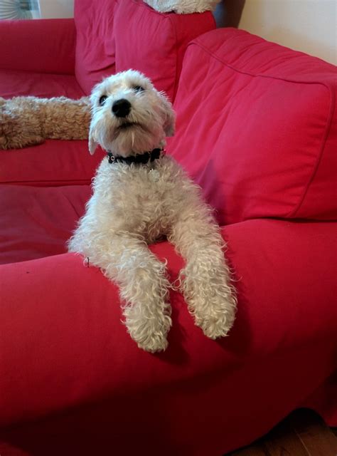 What Makes Shelby's Annex Area So Special: Insights and Information