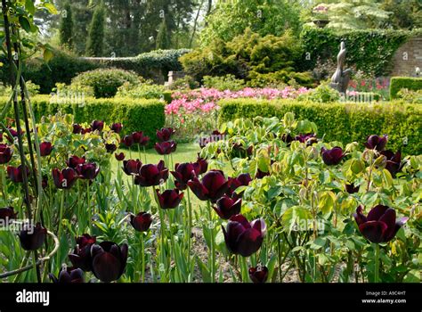 Pashley manor gardens hi-res stock photography and images - Alamy