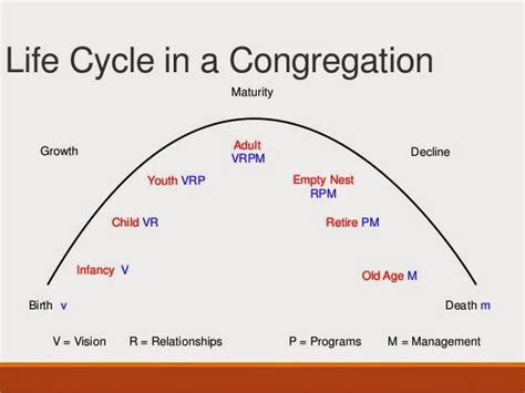 Life Cycle Of A Church Diagram