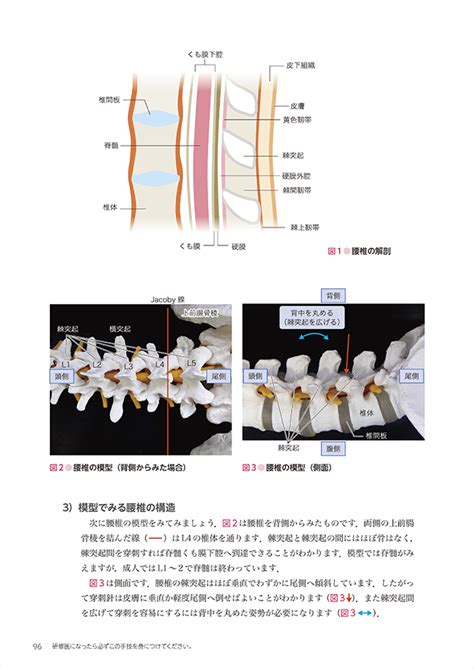 レジデントノート別冊：研修医になったら必ずこの手技を身につけてください。〜消毒、注射、穿刺、気道管理、鎮静、エコーなどの方法を解剖とあわせて