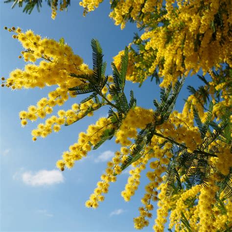 meriden taxes search and pay 6