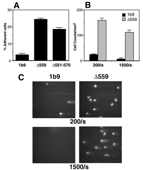 Deletion Of Filamin Binding Sites Enhances GPIb IXmediated Cell