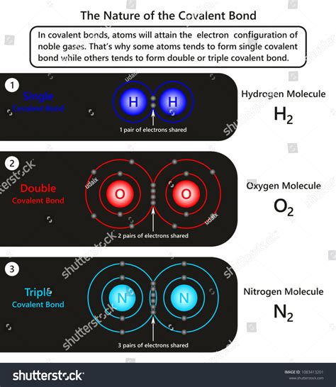 Nature Covalent Bond Infographic Diagram Showing Stock-illustration ...