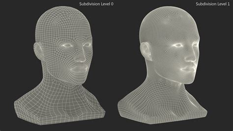 D Nude Plastic Male Mannequin Head Turbosquid