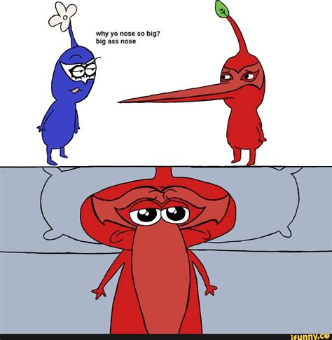 Why Yo Nose So Big Big Ass Nose IFunny