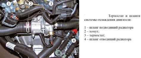 Термостат Лада Веста: замена, — Lada Vesta (1G), 1,6 л, 2018 года ...