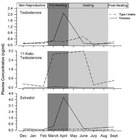 Summary Diagram Of The Plasma Sex Steroid Levels For Wild Caught Type I