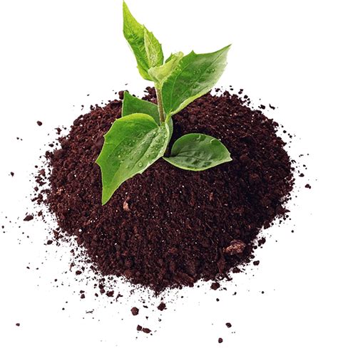 Biochar Mud Plaster Bioenergy Consult