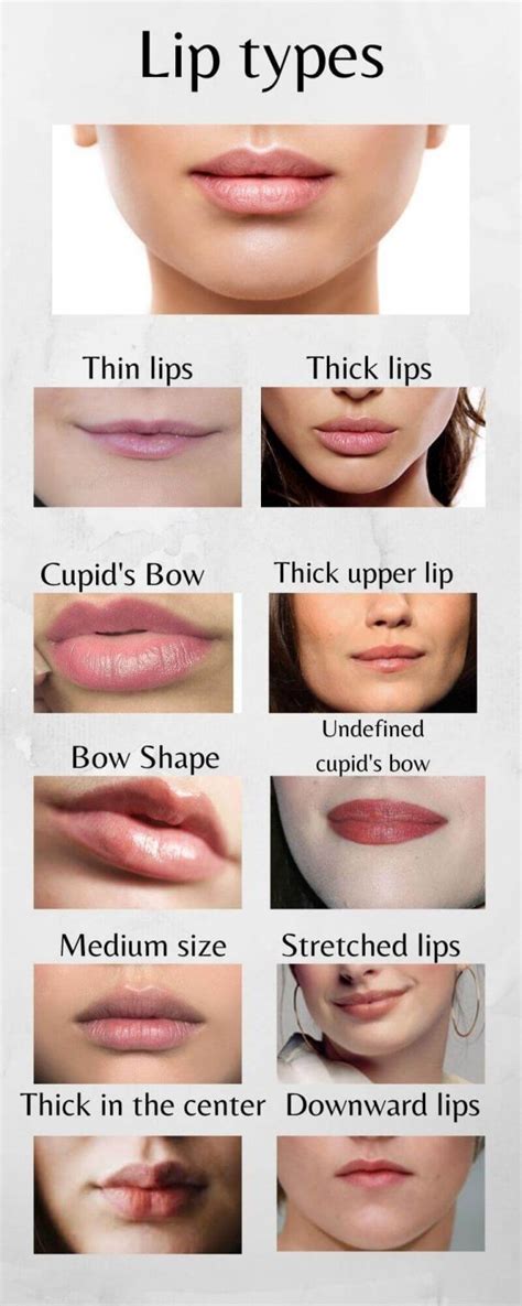 What Is The Most Attractive Lip Shape Build Your Body