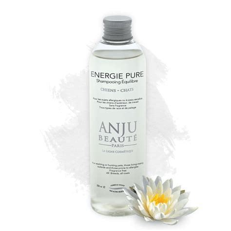 ANJU BEAUTÉ SHAMPOO ENERGI PURE - Cattoys I/S