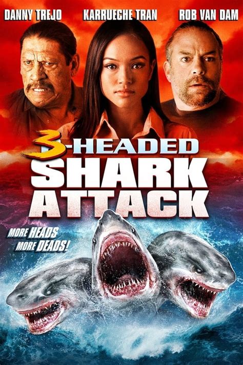headed shark attack