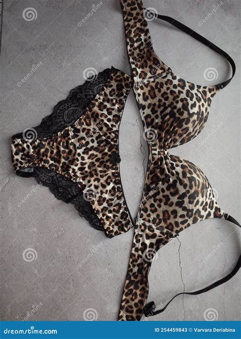 Leopard Lingerie Set With Lace Panties On Gray Background Stock Image Image Of Beauty