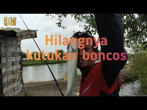 Mancing Ikan Payus Laosan Penghilang Kutukan Boncos Mancing Tlocor