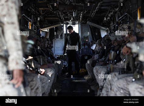 Twentynine Palms California Usa 23rd Feb 2023 Us Marines With