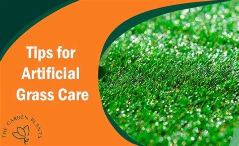 10 Tips for Artificial Grass Care - The Garden Plants