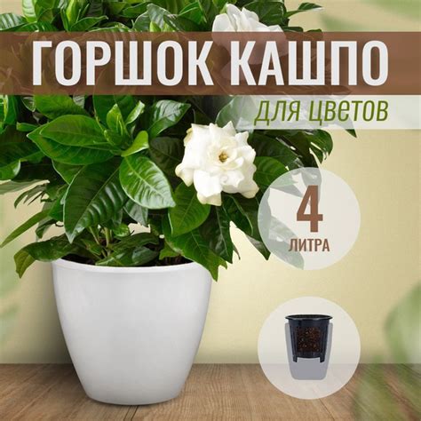 Характеристики Горшок для цветов пластиковый маленький с автополивом ...