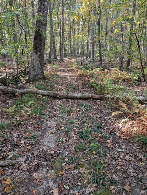 Kenilworth ct property taxes are set to rise next year 2