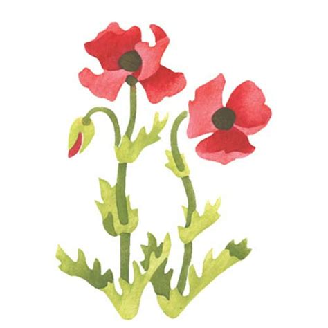 Large Poppy Flower Wall Stencil SKU #3214B by Designer Stencils - Walmart.com - Walmart.com