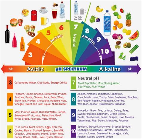 Live Healthy Live Longer: Alkaline VS Acidic Foods : The benefits of ...