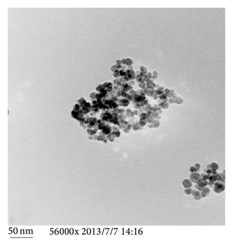 TEM Micrographs Of Naked SPION A And Surface Modified SPION