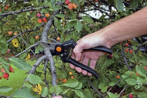 Обзор FISKARS P90. Профессиональный садовый секатор со спиральной пружиной