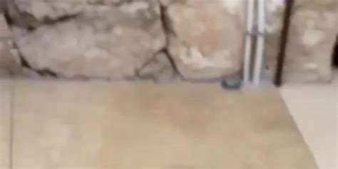 Megane Lopez Deepthroat Rimjob Anal Fun Mike Angelo Tnaflix